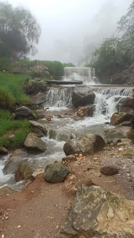 Bandung: White Crater Hotspring Tea Plans And Lunch Included - Final Thoughts