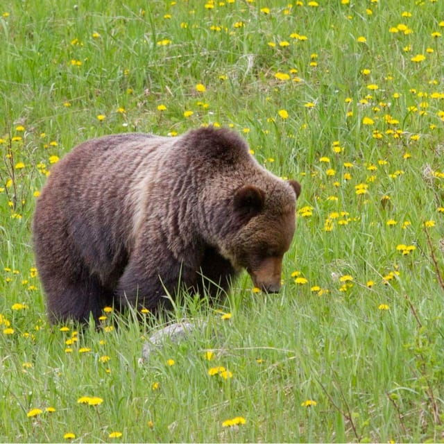 Banff: 2-Day Banff Lake Louise & Yoho N.P. Tour - Lake Louise