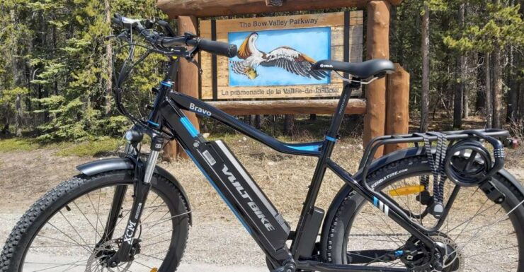 Banff: 4-Hour E-Bike and Walking Tour in Johnston Canyon - Experience Highlights and Itinerary