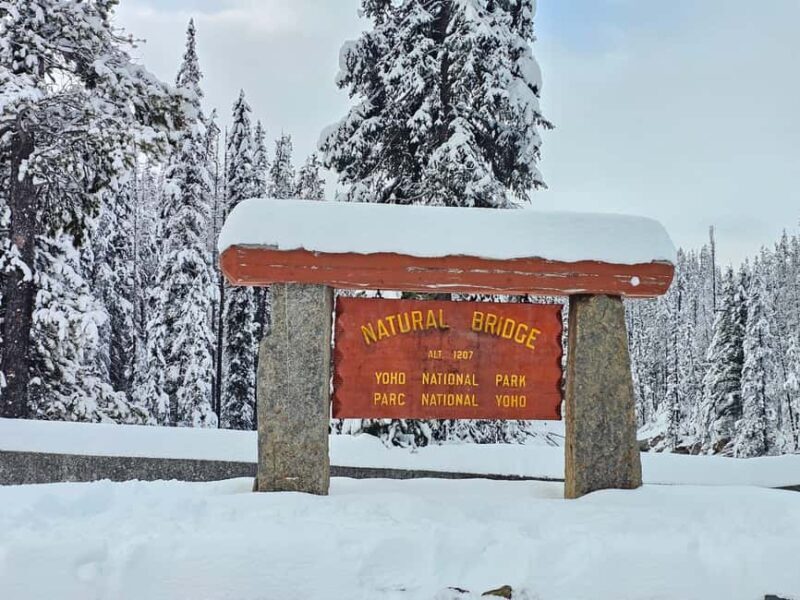 Banff and Yoho Winter Wonderland Private Tour - The Value Proposition