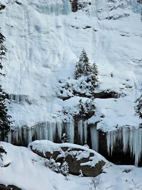 Banff and Yoho Winter Wonderland Private Tour - Who Will Benefit Most?