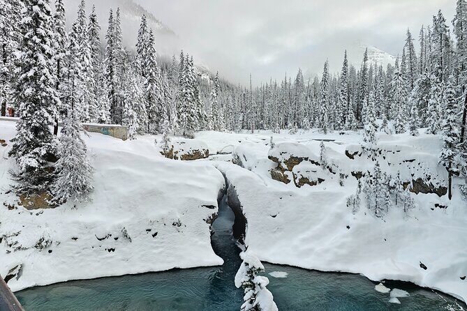 Banff and Yoho Winter Wonderland Private Tour - Good To Know