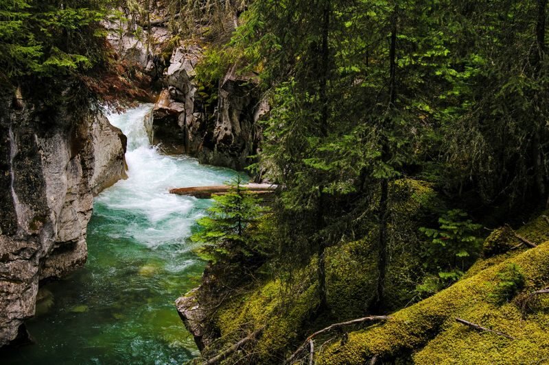 Banff area and Johnston Canyon Day Tour from Calgary - Bow Falls and Surprise Corner: two classic Banff views