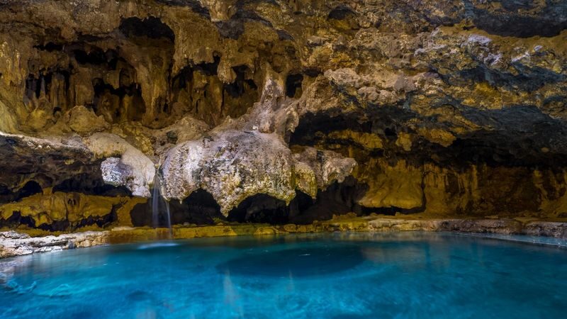 Banff area and Johnston Canyon Day Tour from Calgary - Who should book this Banff day tour?