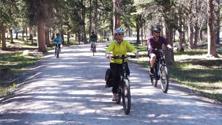 Banff: Bow River E-Bike Tour and Sundance Canyon Hike - Experience Highlights
