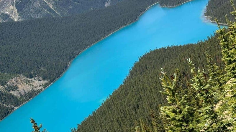 Banff/Calgary/Canmore: Crowfoot Glacier and 5 Lakes Tour - The Sum Up