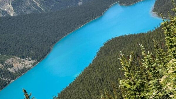 Banff/Calgary: Crowfoot Glacier and 5 Iconic Lakes Day Trip - What to Bring and Tips