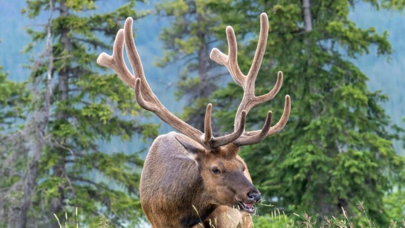 Banff/Canmore Moraine Lake & Lake Louise-Hike/Canoe/Sightsee - Who Is This Tour Perfect For?