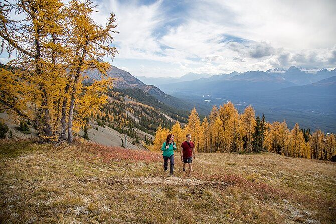 Banff Canmore Private Adventure Moraine Lake and Lake Louise Tour - The Journey to Moraine Lake