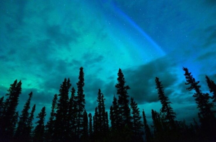 Banff/Canmore: Stargazing Private Tour With up to 5 Guests - Experience Highlights