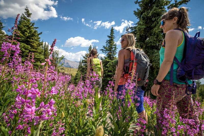 Banff: Edible and Medicinal Plants Nature Walk - Good To Know