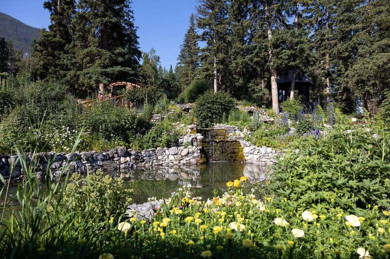 Banff: Edible and Medicinal Plants Nature Walk - Is This Tour Right for You?