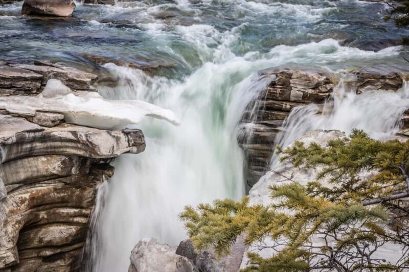 Banff: Explore Banff & Jasper National Parks (4-Days) - Authentic Insights from Reviewers