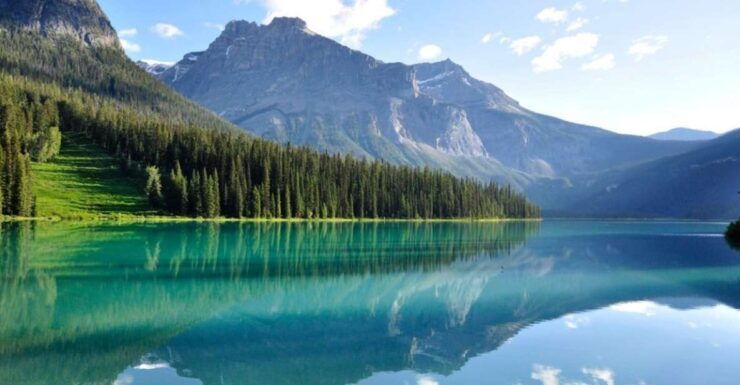 Banff: Go Chasing Waterfalls in Banff & Yoho National Parks - Tour Highlights