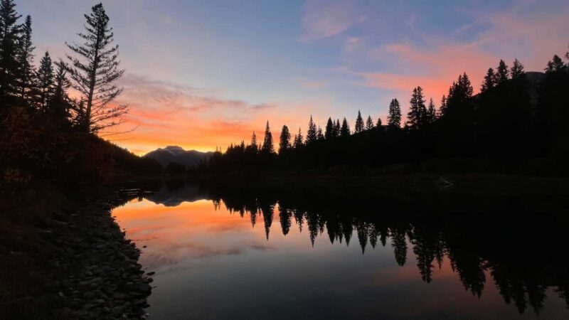 Banff: Grizzly Bear & Nature Walk & Hidden Gem Sunset Tour - Good To Know