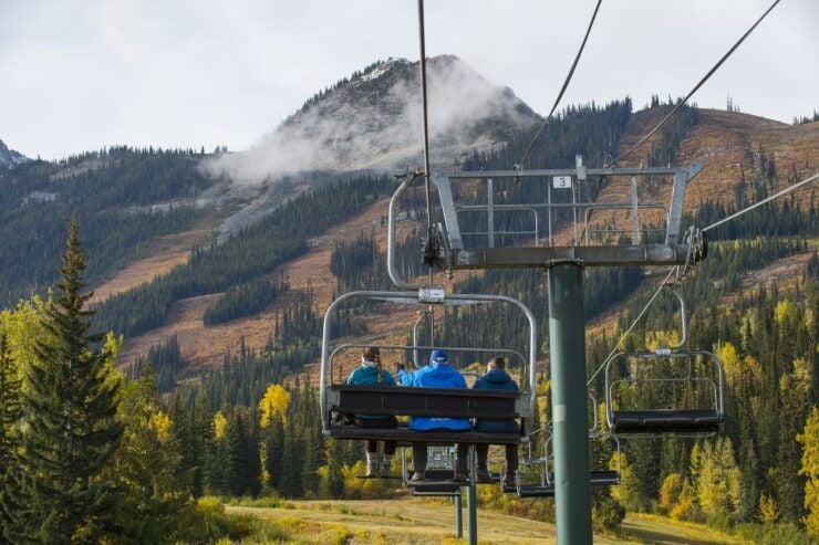 Banff: Grizzly Bear Refuge Tour With Lunch - Experience Highlights