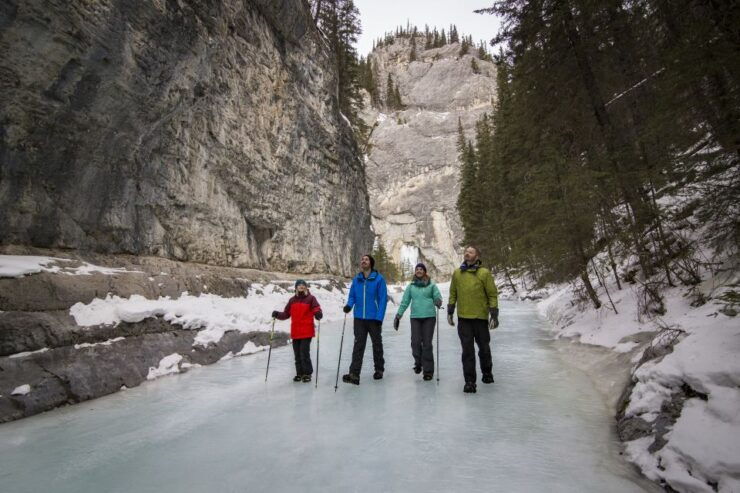 Banff: Grotto Canyon Icewalk - Experience Highlights