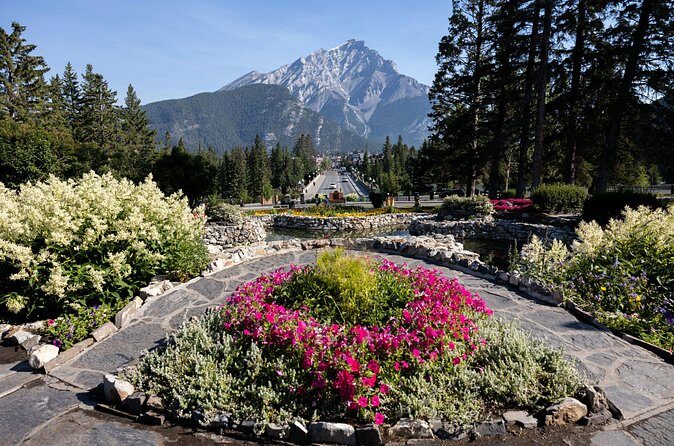 Banff Highlights E-Bike Tour - Concluding at Tunnel Mountain Drive