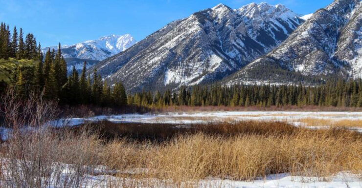 Banff: Historic Cave & Basin Self-Guided Walking Audio Tour - Experience Highlights
