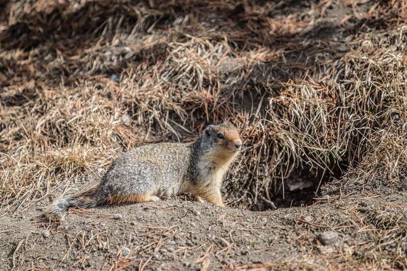 Banff: Journey to the Heart of the Canadian Rockies (2 Days) - FAQs