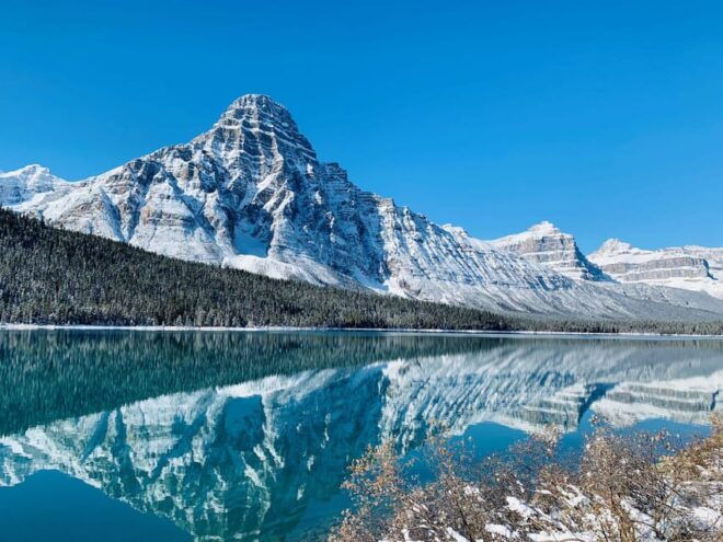 Banff: Lake Louise and Moraine Lake Half-Day Tour - Activity Duration and Price