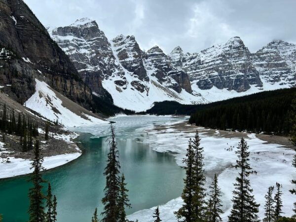 Banff: Lake Louise and Moraine Lake Half-Day Tour - Customer Feedback
