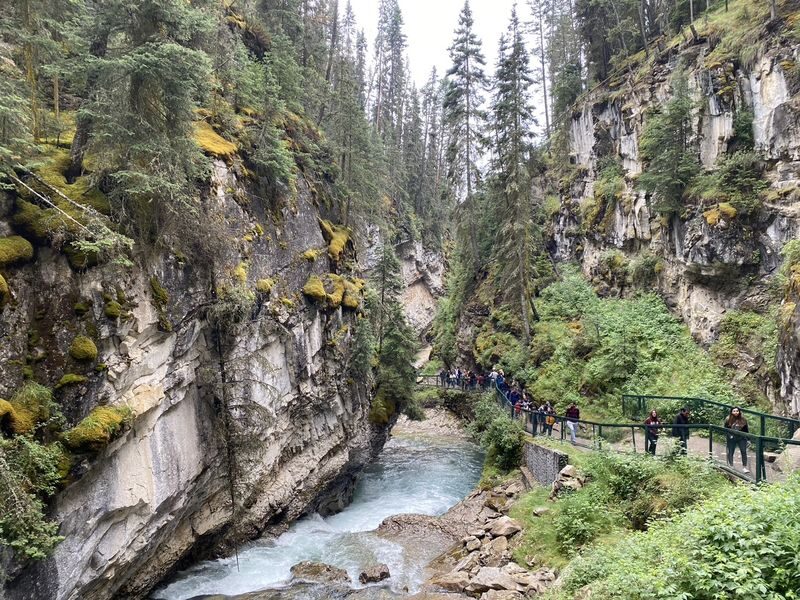 Banff Lake Louise & Johnston Canyon Half-Day Tour - Banff town and the gondola: two different kinds of stop