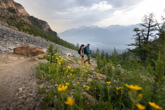 BANFF Medicinal and Edible Plants Nature Walk - 2 Hours - Authentic Insights from Participants
