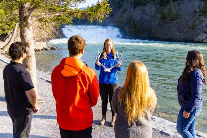 Banff Morning Tour Scenic Highlights and Gondola Ride - Who Will Love This Tour?