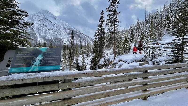 Banff National Park: Canyons, Lakes & Local Favourites - Practical Tips for Travelers