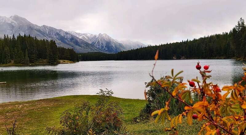 Banff National Park: Full-Day Adventure - Price and Value