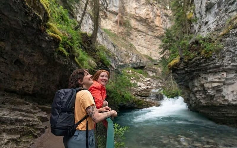 Banff National Park Full-Day Emerald Lake & Johnston Canyon Tour - Nature and park history give the day extra value