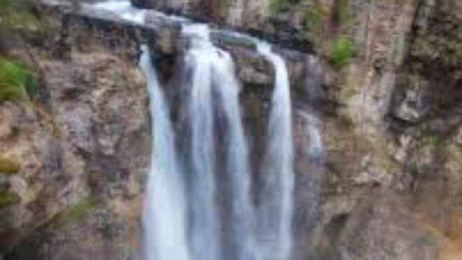 Banff National Park: Lake Louise, Moraine Lake & Banff Tour - Customer Reviews and Feedback