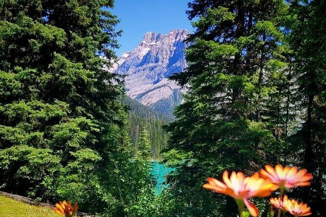 Banff National Park Moraine Lake and Lake Louise Explorer Tour - Who Will Love This Tour?
