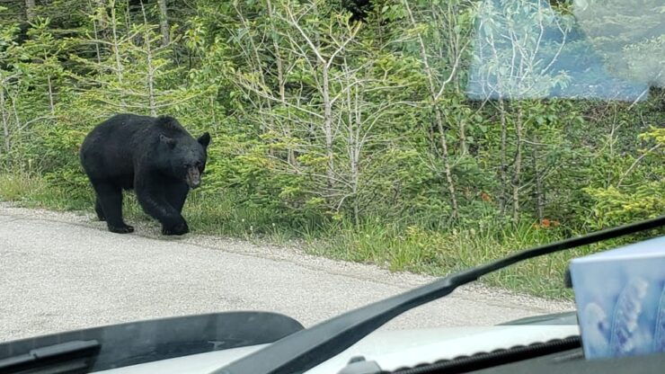 Banff National Park - Summer Tour - Good To Know