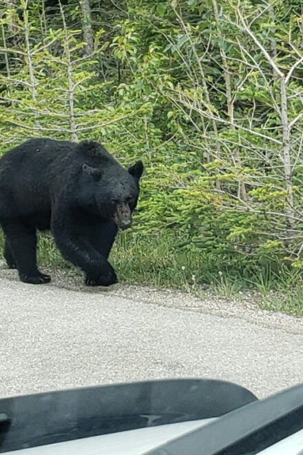 Banff National Park - Summer Tour - Cancellation Policy