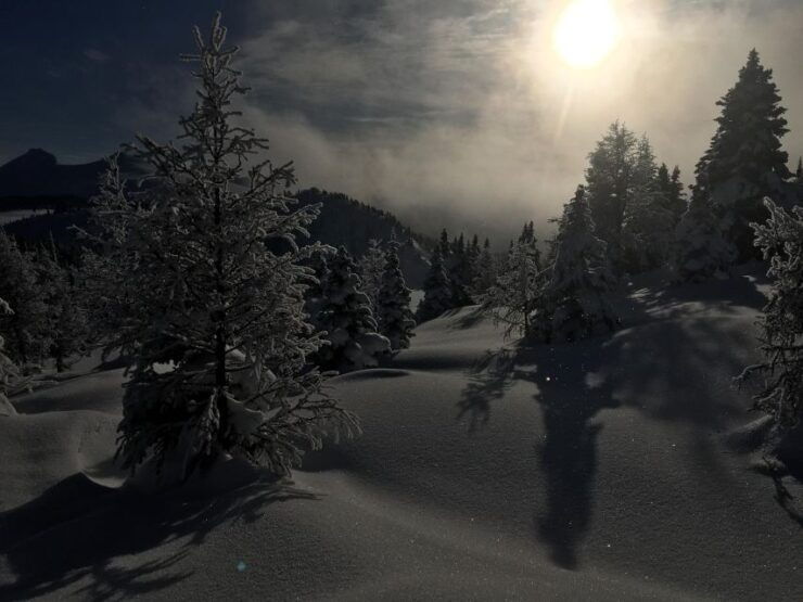 Banff National Park: Sunshine Meadows Snowshoeing Experience - Experience Details