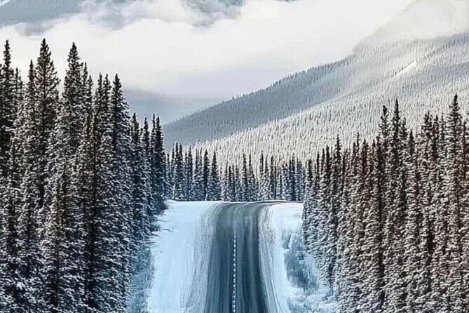 Banff National Park to Calgary Private Transportation - Detailed Breakdown of the Itinerary and Stops