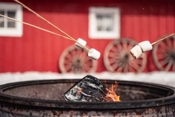 Banff: Private Horse-Drawn Sleigh Ride for Four - Frequently Asked Questions