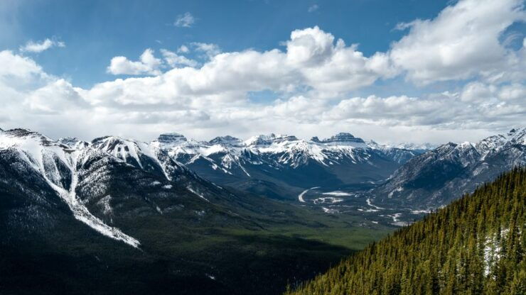 Banff: Sulphur Mountain Guided Hike - Experience Highlights
