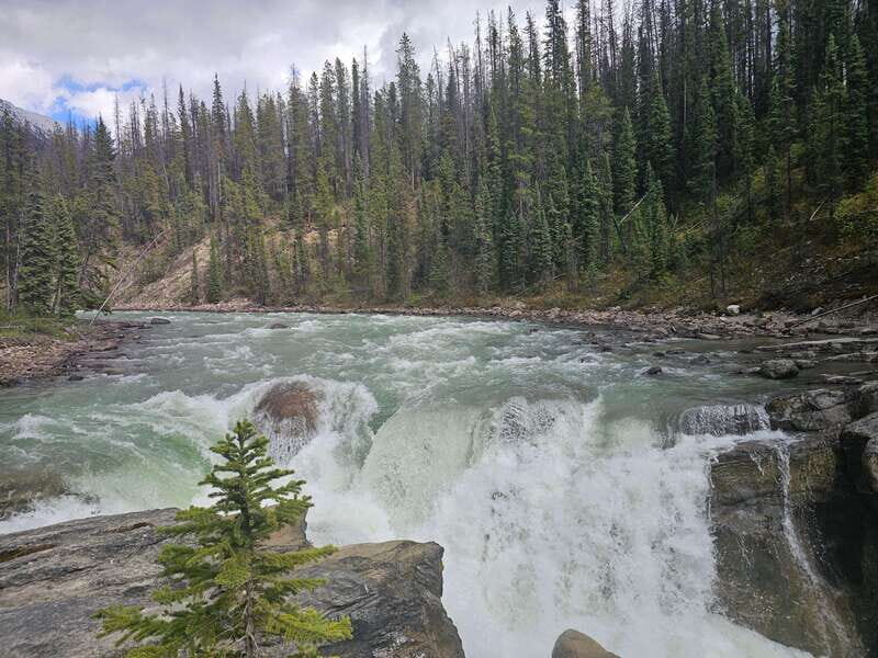 Banff to Jasper One-Way Private Tour sightseeing - Who is This Tour Best For?