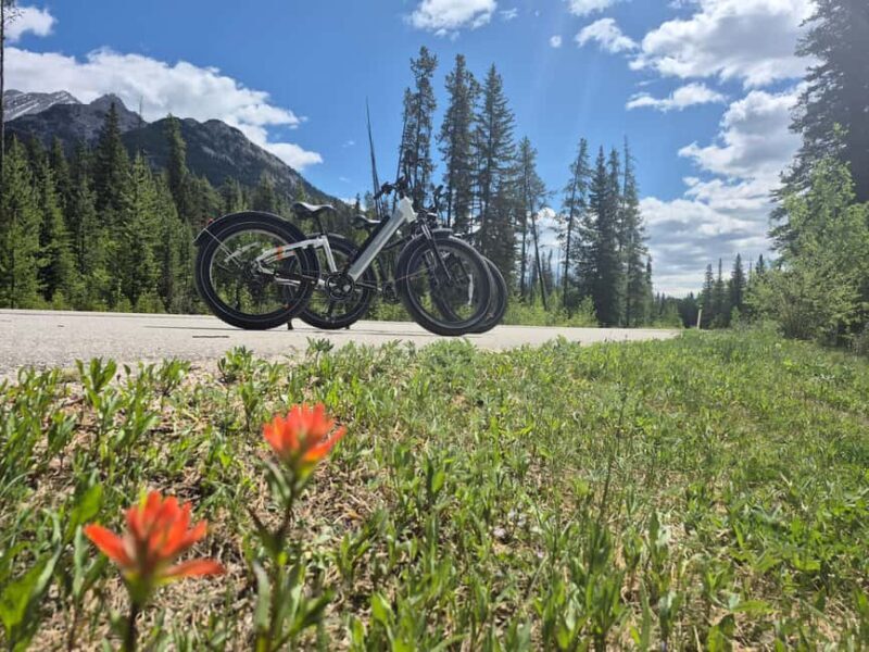 Banff Top Sights E-Fat Bike Tour  All Skill Levels - Exploring Banff on an Electric Fat Bike: A Practical Review