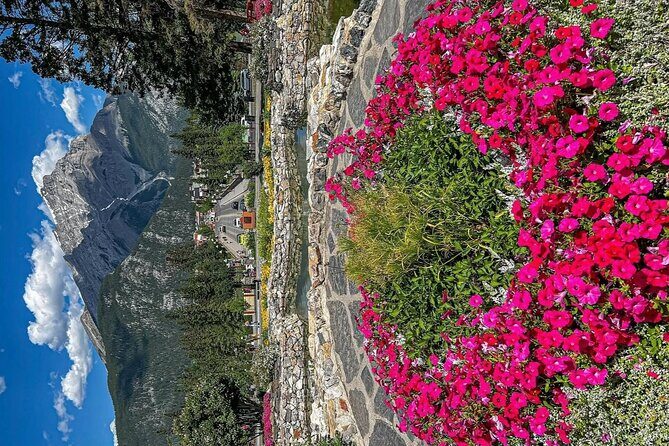 Banff Town Walking Tour Includes Refreshment and Sweet Treat - Who Is This Tour Best Suited For?