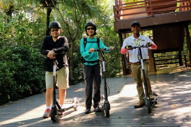 Bang Krachao Half-Day Small Group E-Scooter Tour - From Khlong Toei to Bang Krachao
