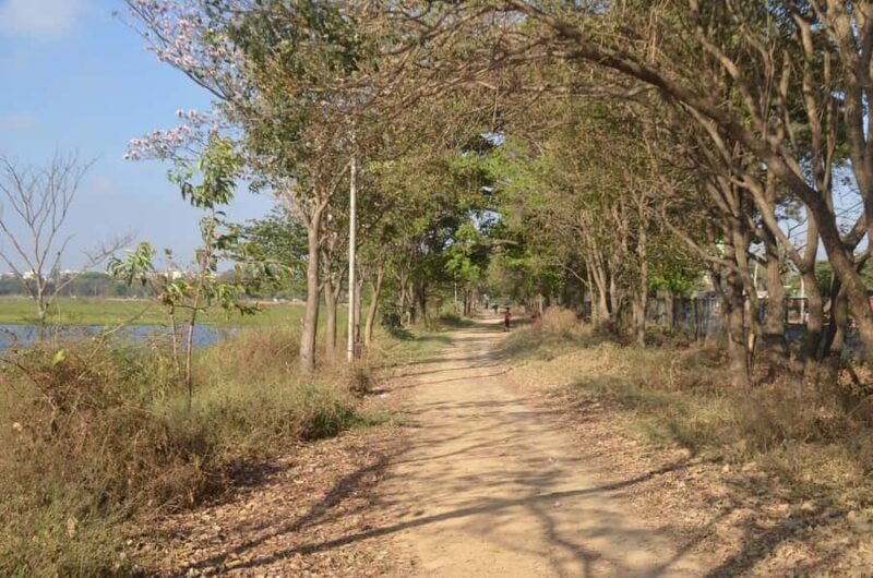 Bangalore: Agara Lake Walking Tour with Coffee - Good To Know
