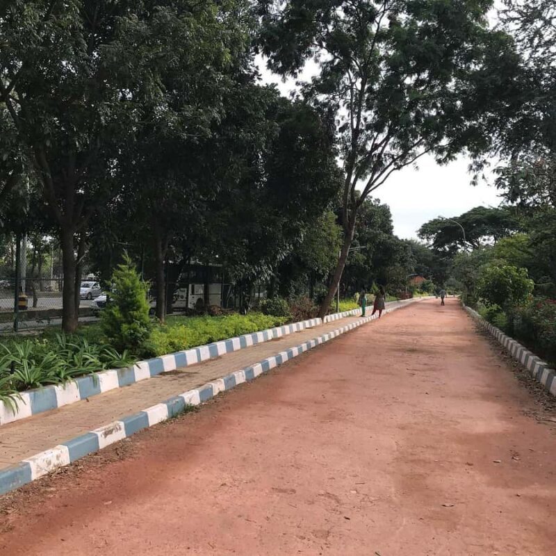 Bangalore: Agara Lake Walking Tour with Coffee - Detailed Breakdown of the Itinerary