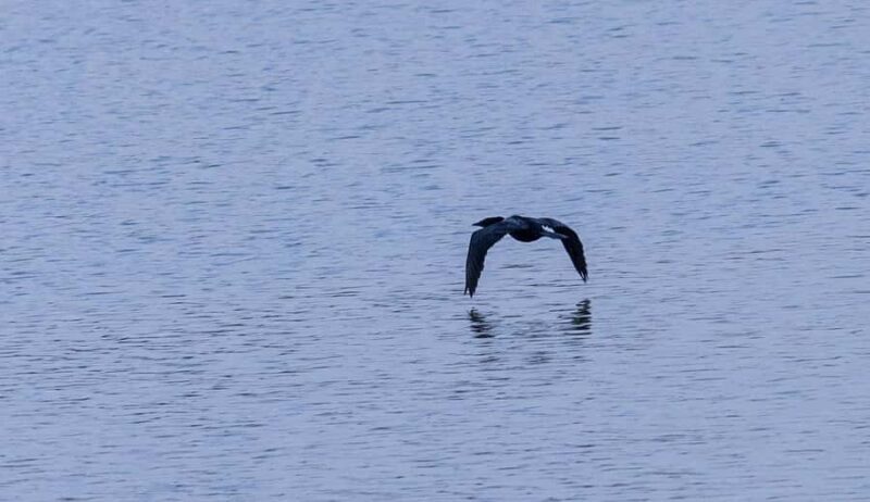 Bangalore: Agara Lake Walking Tour with Coffee - Why This Tour Offers Real Value