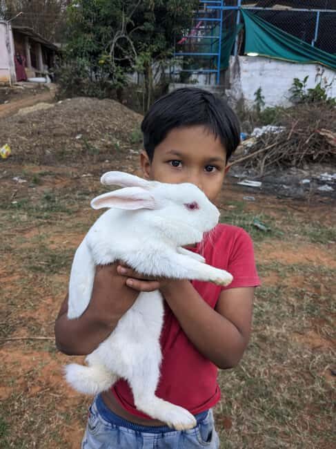 Bangalore: Big Barn Farm Visit with Animal Interactions - Good To Know