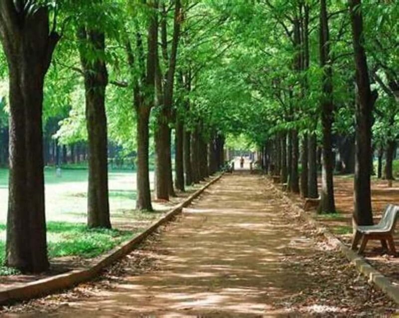 Bangalore: City Highlights Guided Tour - Discovering Bangalore: A City of Contrasts