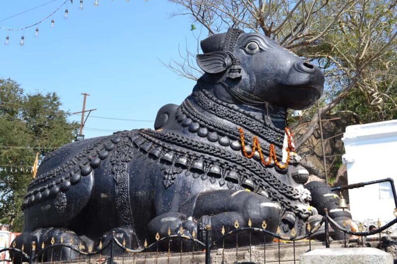 Bangalore: City Highlights Tour - Who Should Consider This Tour?